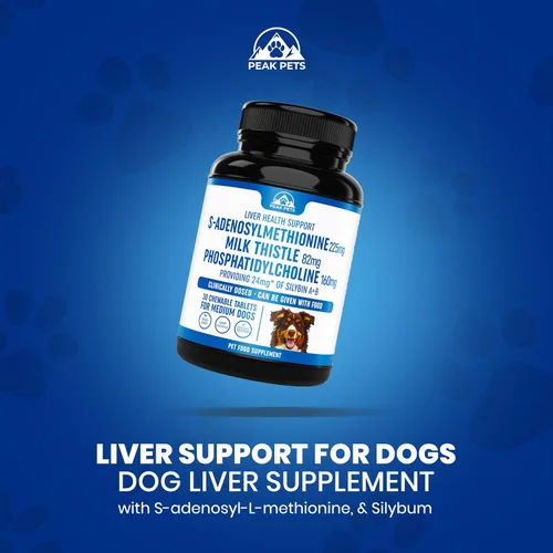 Miniatura 4 de Suplemento de apoyo hepático para perros medianos con silimarina (SAMe y silybina) S-adenosil-L-metionina (SAM-e) y silybum (cardo lechería)