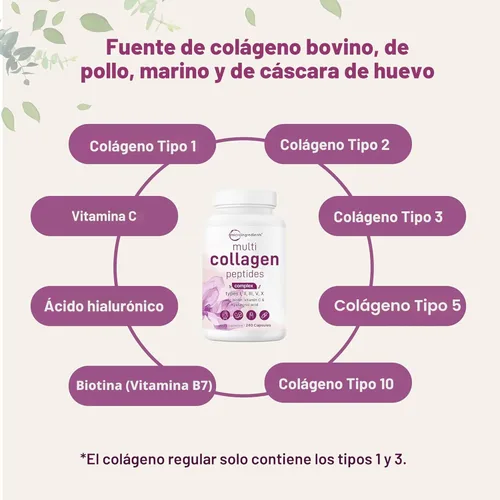 Miniatura 4 de Micro Ingredients Píldoras de colágeno múltiple para mujeres y hombres, 240 cápsulas Tipo I, II, III, V, X Péptidos proteicos hidrolizados