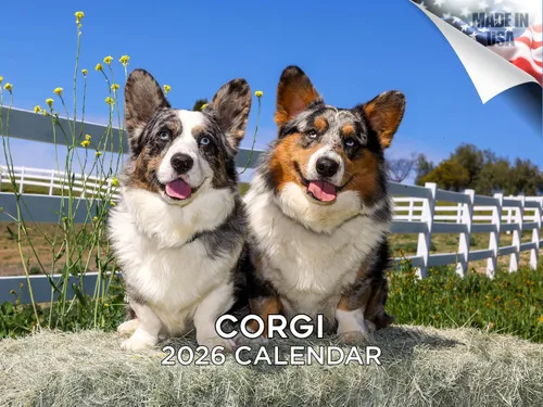 Miniatura 142 de Calendario 2025 2026 de cachorros Cocker Spaniel - Calendario mensual de pared de raza de perro - 12" x 24" abierto - Papel grueso sin sangrado