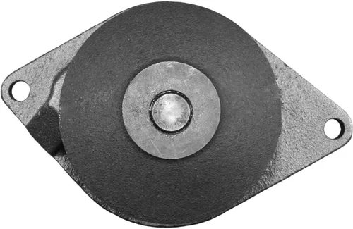 Miniatura 2 de ACDelco Bomba de agua del motor Gold 252-920 (88875331)