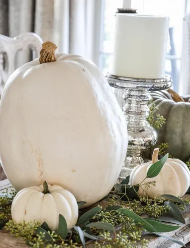 Miniatura 6 de TomorrowSeeds - Semillas de calabaza blanca Lumina - Más de 10 unidades - para plantar Halloween otoño tallado fantasma Casper oso polar Calabaza