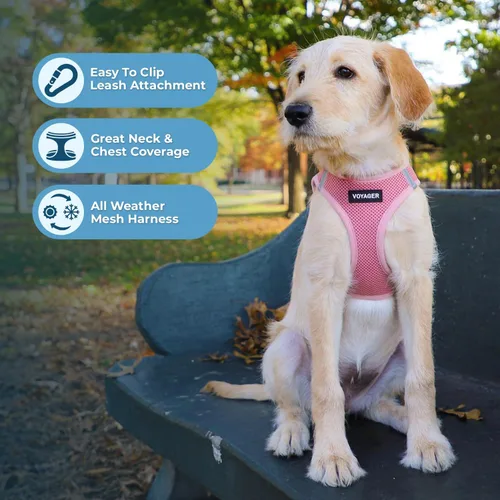 Miniatura 3 de Best Pet Supplies Voyager Step-In - Arnés de malla para perros, apto para todo tipo de clima, arnés tipo chaleco fácil de poner, para perros Arnés