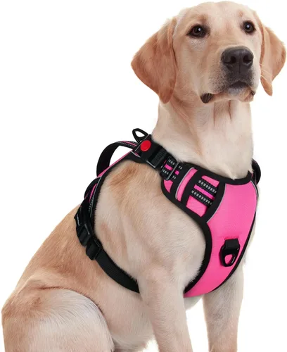 Miniatura 29 de rabbitgoo Arnés para perro de tamaño pequeño, arnés para mascotas sin tirones con mango acolchado suave, chaleco reflectante ajustable con 3