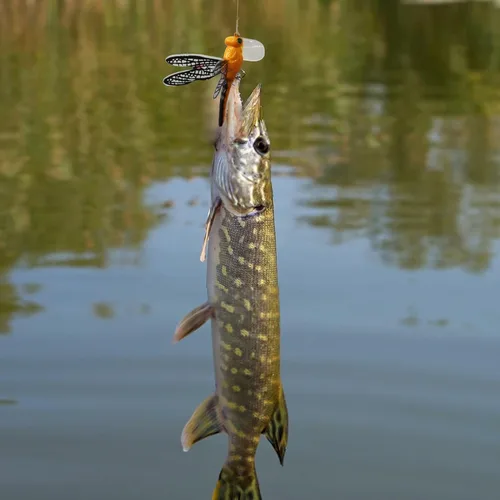 Miniatura 7 de Señuelos de pesca Topwater Señuelos simulación conjunto con ganchos para herramientas de pesca al aire libre