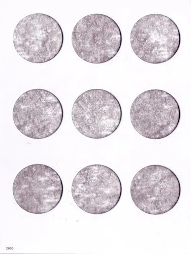 Miniatura 2 de Carpeta Harris Blank para dólares de plata 2665