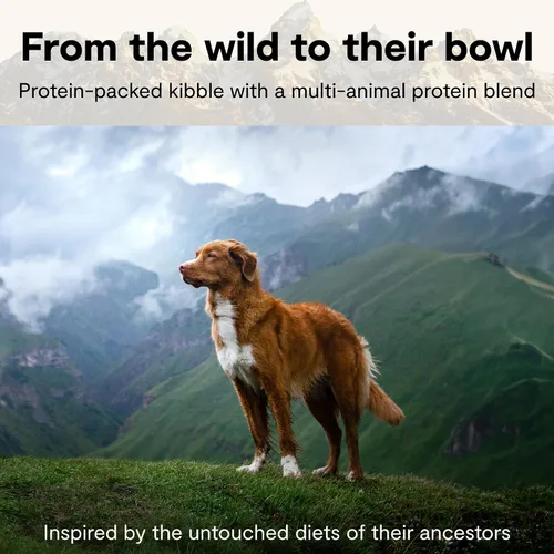 Miniatura 4 de Open Farm, RawMix - Alimento seco para perros con granos antiguos, croquetas llenas de proteínas recubiertas en caldo de huesos con trozos crudos
