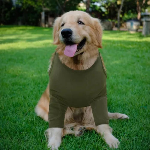 Miniatura 5 de Nanaki Trajes de recuperación para cirugía de perro para patas delanteras, manga para pierna de perro para dejar de lamer, pantalones anti-lamida