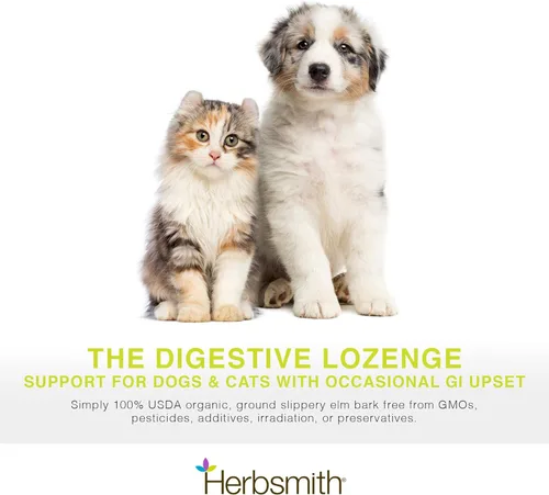 Miniatura 2 de Herbsmith Olmo resbaladizo orgánico - Ayuda digestiva para perros y gatos - Alivio del estreñimiento y la diarrea para perros y gatos - Ayuda