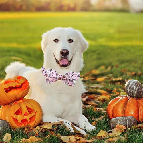 Miniatura 4 de Lionheart glory - Collares de perro de Halloween, collar de perro de otoño, lazo rosa, collar para perros pequeños, niños y niñas, calabaza, arcos