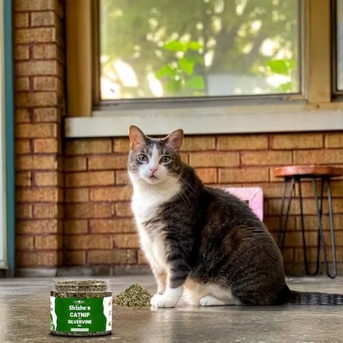 Miniatura 7 de Mezcla de vid plateada de hierba gatera para gatos y gatitos, fórmula no tóxica recién seca y de estimulación dual, neblina orgánica de vid plateada