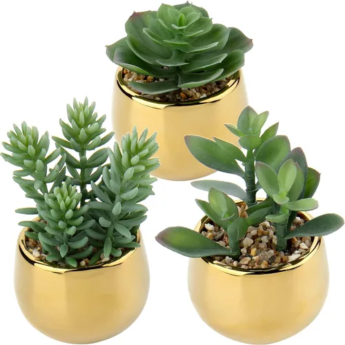 Briful Pequeñas suculentas artificiales en macetas, juego de 3 plantas suculentas realistas con macetas de cerámica doradas, lindas mini plantas