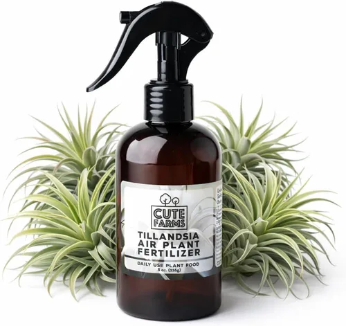 Miniatura 7 de Cute Farms Tillandsia - Fertilizante para plantas de aire, fórmula suave de uso diario, nutrientes formulados para plantas de aire