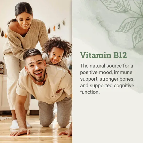 Miniatura 2 de USDA Organic Vitamina B12 2000mcg Suplemento líquido sublingual (paquete de 2) – Gotas veganas de metilcobalamina para energía natural, mantener