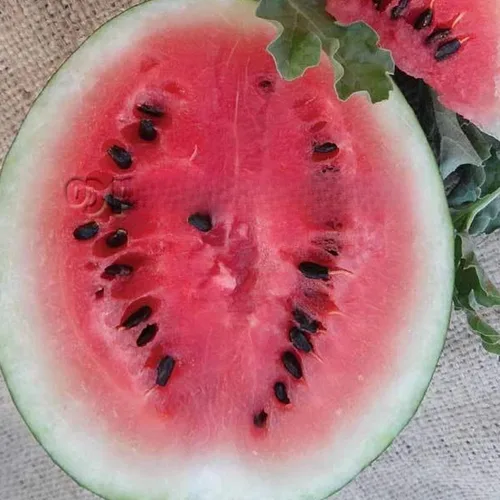 Semillas de sandía orgánica Sugar Baby – 1 onza ~ 375 semillas – sin OMG, polinizado abierto, reliquia, horticultura y semillas de frutas