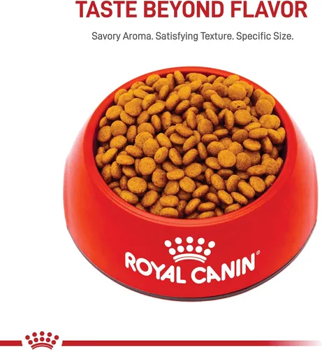 Miniatura 8 de ROYAL CANIN SIZE HEALTH NUTRITION X-SMALL comida seca para perros adultos
