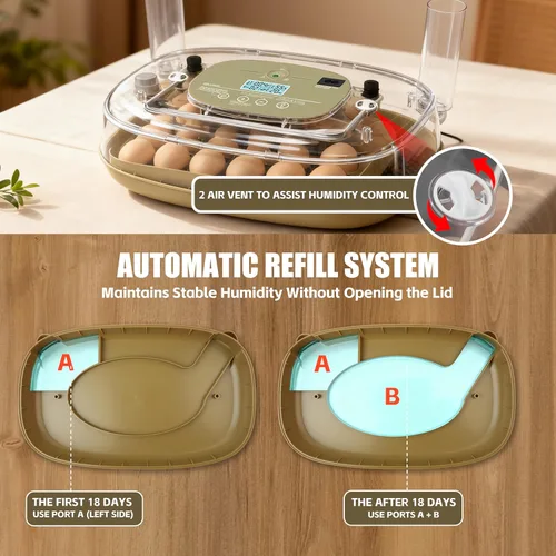 Miniatura 6 de Syluris Incubadoras para incubar huevos, incubadora de 24 huevos con giro automático de huevos y control de humedad, vela de huevos, visualización