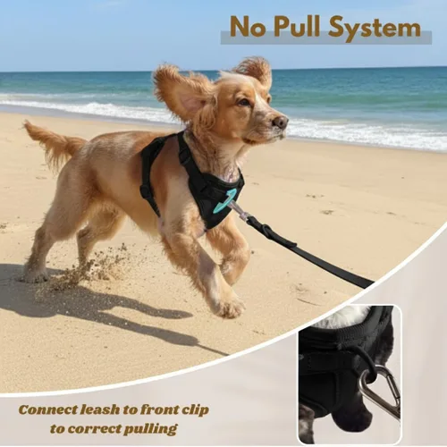 Miniatura 5 de Dog Harness - No Pull Adjustable Front Clip Vest with Soft Padding, 3Leash Clips, and No-Choke Oxford Design Comfort for Small, Medium, and Large
