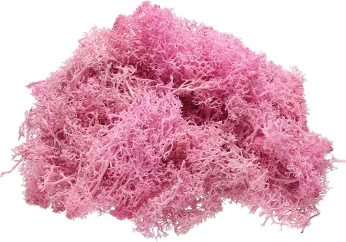 Miniatura 19 de uxcell Musgo de reno preservado, musgo falso de 4 onzas para manualidades, musgo seco artificial para decoración, manualidades, terrarios, plantas