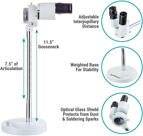 Miniatura 2 de AmScope - Microscopio estéreo binocular de aumento 8X con giro 360 - Dental, laboratorio, reparación electrónica, soldadura, tienda iluminador