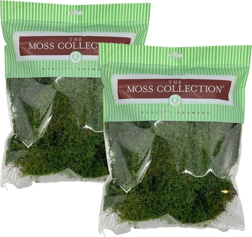 Miniatura 14 de Musgo de hoja preservado - Musgo decorativo natural - Musgo seco para manualidades, decoración del hogar, proyectos de arte, diseño y bricolaje - No