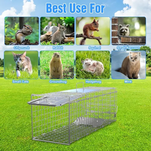 Miniatura 7 de Paquete de 2 trampas para animales humanos, trampa de jaula viva de 24 pulgadas para gatos y roedores, jaula de acero galvanizado plegable