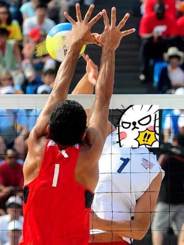 Miniatura 4 de Red de voleibol profesional para exteriores con cable de acero para aeronaves, red de voleibol resistente para patio trasero, redes de voleibol