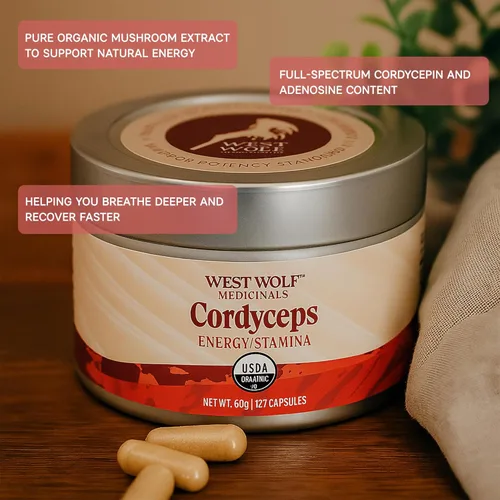 Miniatura 3 de Cordyceps Cápsulas de alta potencia 30% beta-glucanos 120 cápsulas veganas 60 porciones Apoya la vitalidad y resistencia Certificado