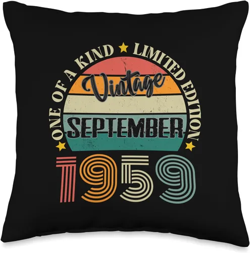 Vintage Birthday Retro Limited Edition Retro Gifts 65 Year Old Vintage September 1959 65th Birthday Retro Throw Pillow, 16x16, Multicolor