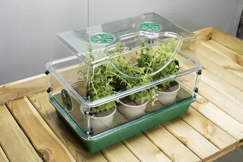 Miniatura 9 de EarlyGrow Propagador de cúpula grande con 2 extensores de altura, bandejas de plántulas y juego de clips de bloqueo, verde (97019)