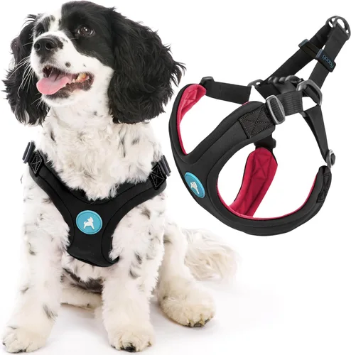 Gooby Escape Free Sport - Arnés deportivo para perro sin estrangulamiento, color negro, talla S - Arnés de neopreno patentado con ajuste de cuatro