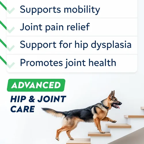 Miniatura 2 de STRELLALAB Suplemento avanzado de glucosamina para cadera y articulaciones para perros y caballos mayores, mejillón y colágeno de labios verdes