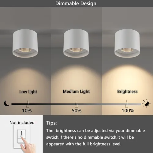 Miniatura 9 de Lámpara de techo de montaje empotrado, 20 W LED regulable 5.9 pulgadas, lámpara de techo de aluminio rústica moderna para vestíbulo, armario, Blanco