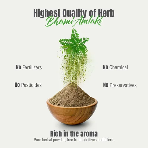 Miniatura 8 de HerbsForever Bhumi Amalaki Powder Phyllanthus Niruri Hierba ayurvédica para el bienestar, desintoxicación y vitalidad Sin OMG, vegano, sin