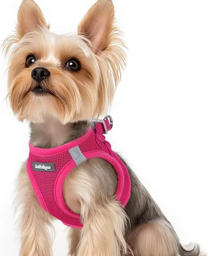 Miniatura 151 de rabbitgoo Arnés para perro pequeño, chaleco de malla suave para cachorros con hebilla de seguridad, arnés reflectante transpirable para mascotas