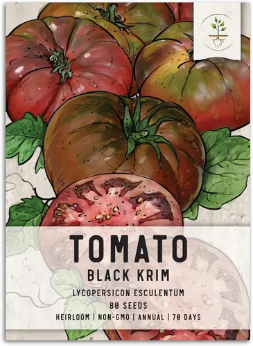 Seed Needs, Black Krim Semillas de tomate – 80 semillas tradicionales o plantación Solanum lycopersicum – Variedad indeterminada sin OMG y sin
