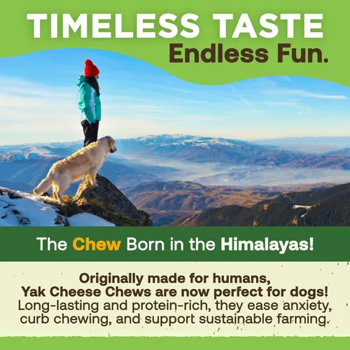 Miniatura 7 de EcoKind Premium Gold Yak Cheese - Masticables para perros del Himalaya, golosinas saludables para perros de todas las razas y tamaños, todo natural