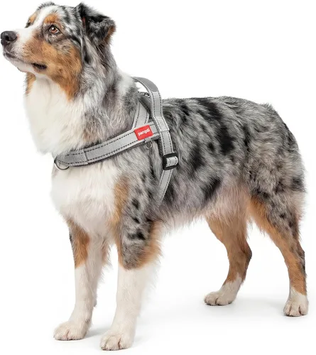 Miniatura 13 de Arnés para perro sin tirón con asa, chaleco reflectante ajustable Corgi, arnés para mascotas acolchado con malla de aire transpirable con clip