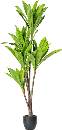Miniatura 5 de Vickerman T160930 Real Touch Dracaena Árbol en maceta, 30