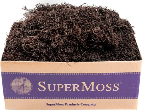 SuperMoss Musgo Español Conservado, Coffee