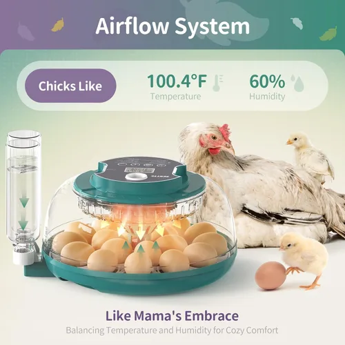 Miniatura 3 de Incubadora automática de huevos con pantalla LED, incubadora de huevos grande con sistema de giro y humedad ajustable, incubadora de tapa