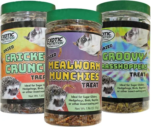 Exotic Nutrition Insectos secos paquete de 3 – Grillos, saltamontes, gusanos de la harina – para planeadores de azúcar, erizos, aves silvestres,