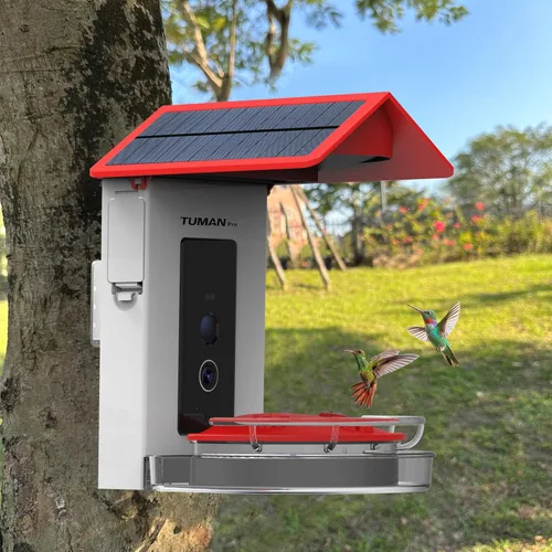 Miniatura 2 de Comedero inteligente para colibríes con cámara de video HD de 1080P, vista de 130°, reconocimiento de IA, control de aplicación, energía solar