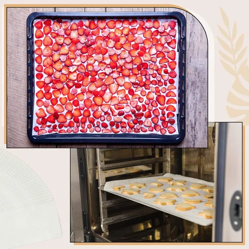 Miniatura 7 de Lincia Juego de 200 bandejas para liofilización, papel pergamino, accesorios de servicio de alimentos precortados con una sola pieza, compatibles