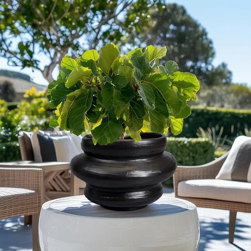 Miniatura 7 de Macetas de cerámica para plantas de 10.6 pulgadas, macetas de bonsái para plantas de interior con orificio de drenaje, maceta decorativa al aire