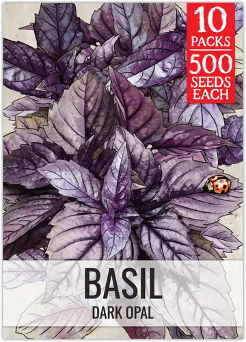 Miniatura 27 de Seed Needs Semillas de albahaca para plantar hierbas de albahaca tailandesa, sin OMG y semillas de hierbas sin tratar para cultivar un jardín