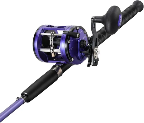 Miniatura 3 de Sougayilang Combo de carrete de caña de pescar de arrastre – Caña de pesca resistente en la costa/bagre con carrete de tamaño 4000, combo de agua