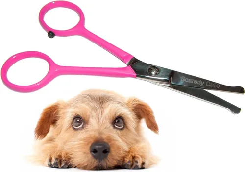 Tijeras pequeñas para aseo de mascotas, con punta de bola y caja. Tijeras 4.5 pulgadas oreja, hocico, cara, pata, Rosado