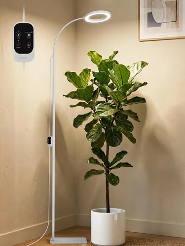 Miniatura 12 de GLOWRIUM Luces de cultivo para plantas de interior, luz LED de espectro completo, atenuación continua, 3 modos de iluminación y altura ajustable
