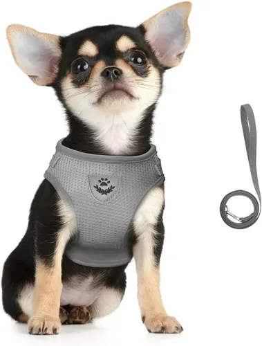 Miniatura 13 de FEimaX Juego de arnés y correa para perro, malla suave ajustable, de fácil control, chaleco ligero para gatos con tiras reflectantes, a prueba