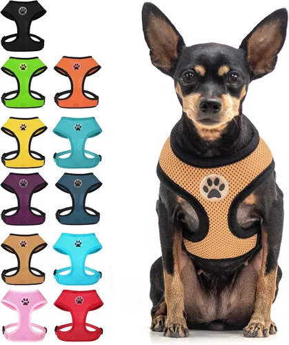 Miniatura 10 de BINGPET Arnés para perro sin tirones, arnés de chaleco tipo step-in de malla para todo clima para perros pequeños, arnés de malla transpirable